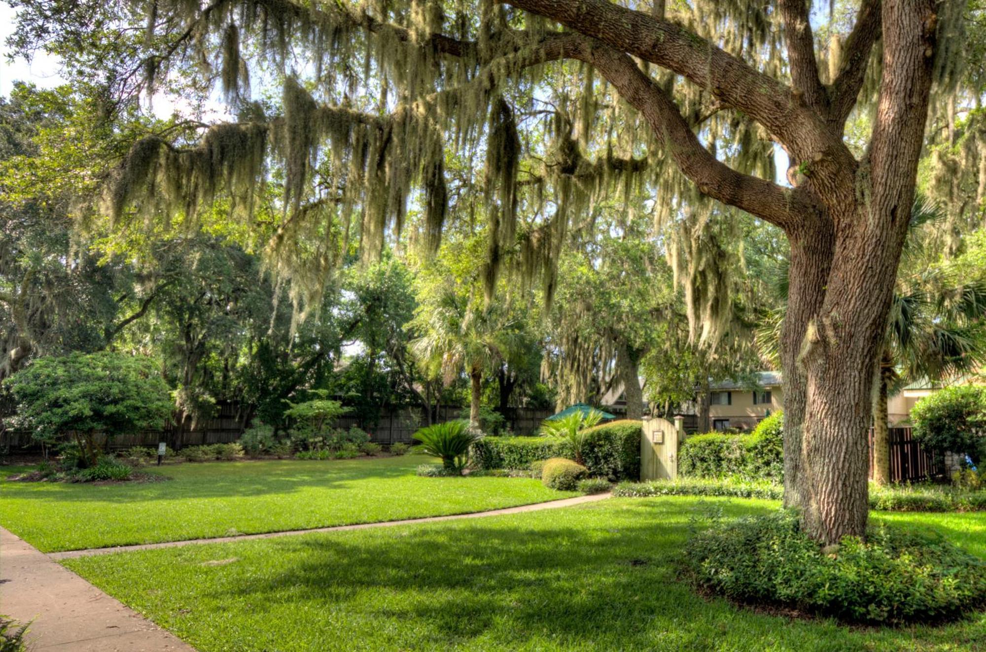 Turtle Cove- 2 Bedroom 1 And A Half Bathrooms St. Simons Island Exterior photo